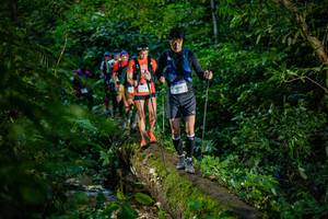 BIB: 
                            <button type="button" onclick="openModal(18922822)" class="btn btn-primary btn-sm float-right btn-popup" data-toggle="modal" data-target=".modal-high-quality">
                        <i class="fas fa-shopping-cart"></i> Add to Cart
                    </button>
                                            <button type="button" onclick="isThisMe(18922822, true)" class="btn btn-success btn-sm float-right btn-popup btn-isme hidden" data-toggle="tooltip" data-placement="bottom" title="นี่คือรูปของคุณใช่ไหม คลิกที่นี่เพื่อเอาเข้าอัลบั้ม">
                        <i class="fas fa-plus"></i> Add to album
                    </button>
                    <button type="button" onclick="isThisMe(18922822, false)" class="btn btn-warning btn-sm float-right btn-popup btn-isnotme hidden">
                        <i class="fas fa-ban"></i> Remove from album
                    </button>